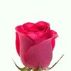 h.c.thakuri_7
