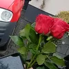 marammm03