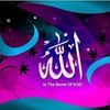 ommody6650