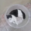 tatylupy