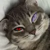 uphzuzj