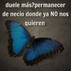 claudiaagredo7