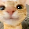 el_gato_201430