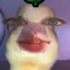 phuongg_trinhh2