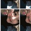bubb232
