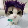 billy_bestgirl