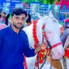 mubshairahmad24