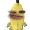 ntqnhu206