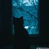 ky_.1.6