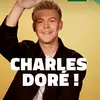 charly.idole.pour.la.vie