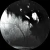 shahram_010