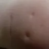 codflash