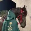 dalal_18