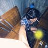 cbdoaibu1