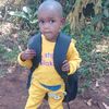 48417733rono