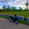 zavex6