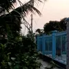 mai_trinh83