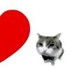 meow._gabs