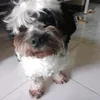 littlemr.beastofficial
