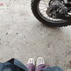 hardiyantiibrahim.3199