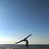 alegymfrv