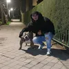 kriisbully