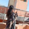 afsarsoomro33