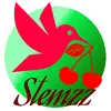 cherrystemzzttv