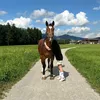 aroonchay19