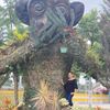 carmita_pincay