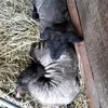 sabinemohnhaupt
