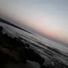 ahmed_algeryani