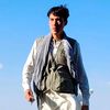 amir_temorr
