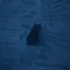 alex_aly6