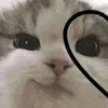 jelly_977