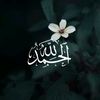 nora2828bq