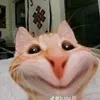 vhao103