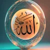 ahmed228700
