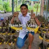 nguyn.nam000