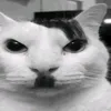 krill.jiji