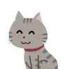 xxxzzz723