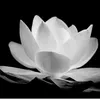 ngoc.han.3012