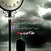 Noor Baloch313