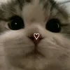 aint_shit.0