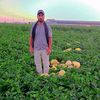 sardarfaizi425