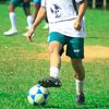 alachno_21