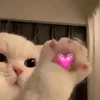 belun_240