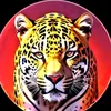 mohammedoso275
