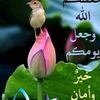 farah29991