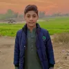 malikshahab3077